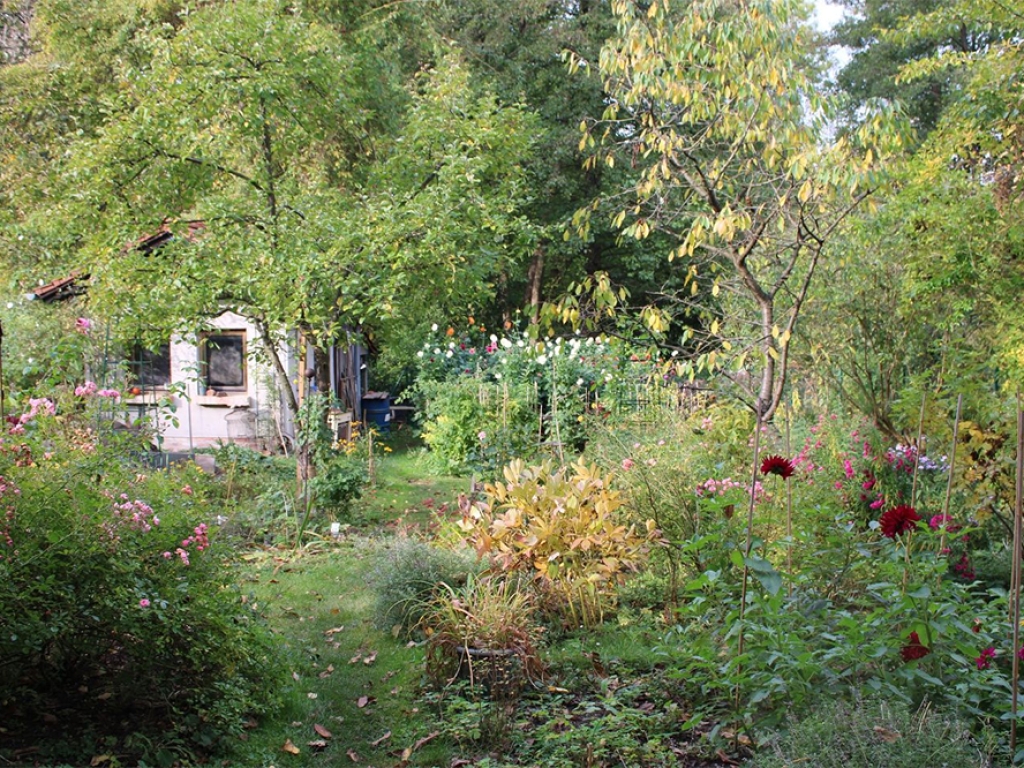 Naturnaher Garten